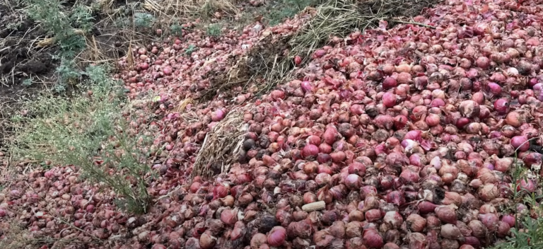 महाराष्ट्र